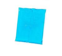 Générique Poche froid, Sachet Gel Eutectique, Pack Réfrigérant -12°C, PA/PE 75 Microns, Bleu, 200 x 150 mm, 400g (50)