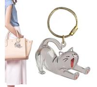 Générique Poils De Chat Pendentif En Acrylique Transparent Boîte Souvenirs | Anneau À Clés Rechargeable Pour Poils D'Animaux De Compagnie Sac À Main Et Sac À Dos