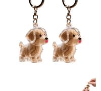 Générique Porte Clef Poil de Chien, Lot de 2, Souvenir Chien décédé | Capsule transparente pour porte cle, pour garder les poils de votre chien ou chat et conserver son souvenir précieux