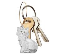 Générique Porte-Clés Collecteur de Poils de Chien | Boîtier pour Poils d'animaux de Compagnie,Souvenir Commémoratif de Perte d'animal pour Femmes Hommes Adolescents