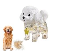 Générique Porte-clés Poils de Chien | Pendentif Mignon Transparent Boîte de Rangement,Porte-Clés Rangement pour Poils Canins | pour Pochette Sac À Main Tote Sac À Dos Voyage Et Vacances Déplacements