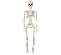 Générique Posable Skeleton - Human Skeleton for Halloween Decorations | ABS Synthetic with Fully Articulated Joints, Spooky Scene Accessory, for Haunted House, Tabletop, Yard, Fun Display