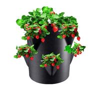 Générique Pot à Fraises avec 6 Poches latérales - Sac à Non tissé de 7 gallons | Conteneur de Plantation Respirant pour Fraises, Herbes, légumes, Balcon de Jardin intérieur et extérieur