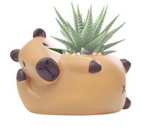Générique Pot de Fleurs Mignon - Porte-Stylo Drôle en Résine Déco Bureau,Cache-Pot Animal avec Trous de Drainage | pour Intérieur Extérieur Salon Chambre Balcon Patio Jardin Table Étagère