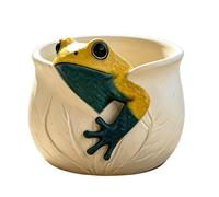 Générique Pot De Vase Décoratif Résine Grenouille Jardin Cactus pour Table