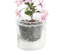 Générique Pot pour d'intérieur, récipient Double Couche, 10x10 cm, jardinière à arrosage Automatique, réservoir d'eau Transparent, pour Maison, Appartement, Bureau