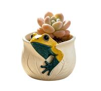 Générique Pots De s Vase Résine Design Grenouille Table Cactus Jardin