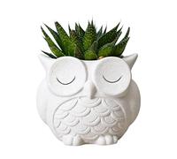 Générique Pots Mignons - Statuette Décorative en Résine,Figurines Cache-Pot Intérieur | pour Maison Bureau Table Bibliothèque Rebord De Fenêtre Balcon Patio Cour Jardin Et Extérieur