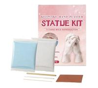 Générique Poudre de Moulage,100g à Activation Aqueuse et Durcissement Rapide - Kit de Modelage à la Main et Poudre de Moulage,pour Les Débutants et la Famille, Loisirs Créatifs, Projets