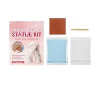 Générique Poudre de Moulage Résine Écologique - 100g Fournitures Créatives à Activation à l'eau | Kit de Moulage de Mains Poudre de Réplique Artisanale,pour Projets Artistiques, Familles, Femmes,