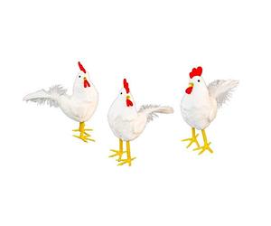 Générique Poule Blanche POLYSTYRÈNE Feutrine Plume