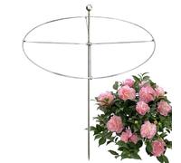 Générique pour Monstera - intérieur et extérieur Invisible en métal, Durable pour piquets de Jardin de Fleurs | Cadre de de jardinière pour lit surélevé, Patio, Porche, a