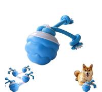 Générique Power Tail 2.0 Dog Toy, Power Tail Dog Toy, Motion Activate Rolling Ball, Interactive Toys for Aggressive Chewers, Automatic Rolling Ball Toys for Puppy/Small (Blue,1PCS)