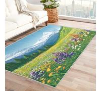 Générique Prairie Montagne Enneigée Tapis de Sol, Paysage Fleur Sauvage Petit Tapis Poil Court - 50x80cm, Tapis Salon Cuisine Bureau Chambre Lavables Antidérapant Doux X-N10
