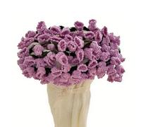 Générique Premium Rose/Sunflower Flower Bouquet Blanket, Handmade Knitted Crochet Flower Bouquet Throw Blanket for Her Girlfriend Mom Mother’s Day Valentine Wedding Anniversary (Purple,23.6in)