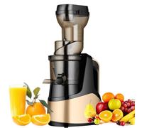 Générique Presse à Froid 1000 ML, Extracteur à maizage à Faible Vitesse avec Fonction de Marche arrière, 50 PRM pour jus à Haut rendement, Sorbet et crème glacée, Nettoyage Facile, Argent