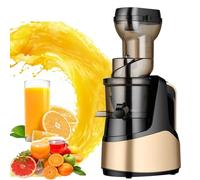 Générique Presse Froide compacte 150W, Extracteur à Mastication Lente avec Fonction de Marche arrière, Fonctionnement Silencieux pour Fruits et légumes, Conception Propre Facile, Or