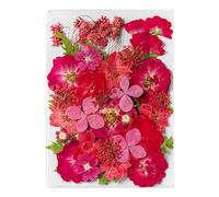 Générique Pressed Flower Stickers - Aesthetic Plant Set for Journaling | 35PCS Real Dried Design, Scrapbook Craft Supplies, Natural Decorative Ornament, Creative Art Tool, DIY Journal Accessory