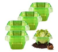 Générique Protection des en Plastique Contre Les limaces et Les escargots - 20 pièces - Colliers pour - Dôme de Jardin de défense Contre-Les escargots | pour la Plantation de de Salade de