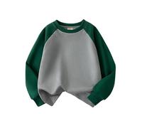 Générique Pull Enfant Garcon Col Rond Sweatshirt Pull Casual Jumper Dinosaure Excavateur Décontractés Pullover Vêtements d'hiver pour Enfants Chaud Manches Longues Enfants Garçon 2-7 Ans