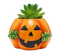 Générique Pumpkin Planter Small Resin Flower Pot Cactus Indoor