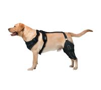 Générique Puppy Knee Brace, Adjustable Dog Back Leg Support Wrap, Color Black Canine Carry Medium and Large Dogs, Comfortable Leg Support for Healing and Mobility