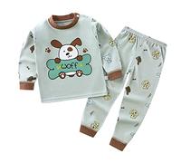 Générique Pyjama 2 pièces pour Enfants Tenues Ensemble Garçons Coton Pyjamas Garçon Manches Longues en Doux T Shirt Tops et Pjs Shorts Mignonne Dinosaure Tracteur Four Seasons