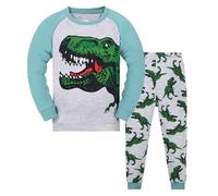Générique Pyjama Garcon Enfants Vêtement de Nuit Enfant Doux Confortable Vêtements Détente en Coton Haut Col Rond Pantalon Dinosaure Requin Voitures et Jeunes