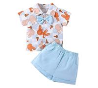 Générique Qamis Bebe Tenues de Pâques pour bébé garçon en Bas âge, Ensemble Chemise Manches Courtes et Short en Forme de Lapin et Carotte, vêtements d'été pour Nouveau né (Blue, 12-18 Months)
