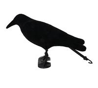 Générique Réaliste Corbeau Floqués de Plastique Robuste Epouvantail Pigeons Leurre Tir Piège à Animal décor pour Jardin