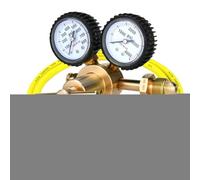 Générique Régulateur d'Azote - Régulateur d'Azote Haute Pression - Accessoires Allongés pour Utilisation en Atelier Industrie Soudage Garage Laboratoire