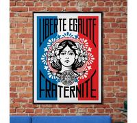 Générique Reproduction Affiche Décorative Murale Liberté Égalité Fraternité, Style Français Vintage, Tricolore, papier haute qualité, vendu sans cadre (50x70 cm)