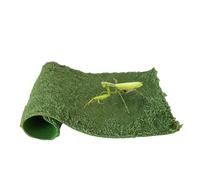 Générique Reptile Carpet - Floor Mat, 1 Piece Vivarium Liner for Moist Control, Cuttable Terrarium Rug with Fiber, Habitat Element, Absorbent Pad for Snakes, Chameleons, Lizards and Amphibians