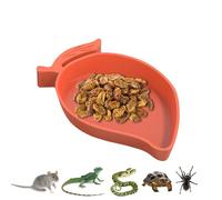 Générique Reptile Feeding Dish - Mango Water Dish for Reptile Tank, Reptile Food and Water Dish, Pet Food Dish, Reptile Food Bowl, Turtle Habitat Lizard Hamster Snake Pet Accessories for Food