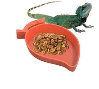 Générique Reptile Food Dish - Mango Water Dish for Reptile Tank, Reptile Food and Water Dish | Pet Food Dish, Reptile Food Bowl, Turtle Habitat Lizard Hamster Snake Pet Accessories for Food