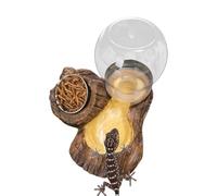 Générique Reptile Water Bowl, Turtle Feeding Dish, Non Slip Terrarium Food Water Bowl for Tortoise Snake Lizard Gecko Bearded Dragon Chameleon Enclosure Habitat