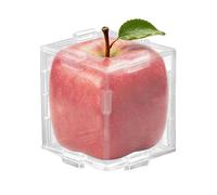 Générique Reusable Transparent Fruit Vegetable Growing Molds | Fruit Shaping Mold for Growing Unique, for Pumpkin Tomatoes Garden Yard Patio Apartment Backyard