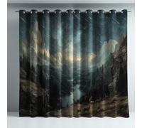 Générique Rideaux occultants Lavable en Machine Microfibre Polyester 2 pièces Décoration de Chambre d'ado Noir Orange Animaux Photographie réaliste,280x300cm (110x118 in)