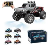 Générique RipRush Mini Monster 1:64 Off-Road LED Alloy Racer, 360° Flip Rip Rush Alloy Racer, 2025 New 3-Speed Variable Speed Off-Road Vehicle, 3-Speed Modes, 2.4GHz Racing System (Gift BoxA,Gray)