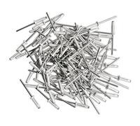 Générique - RIVETS PLAQUE IMMATRICULATION 4X20 mm ALUMINIUM - BLANC - 250 RIVETS ECLATEURS