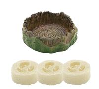 Générique Roach Feeding Container - Reptile Feeding Drinking Dish, Loofah Hydration Bowl, Escape Proof insectt Feeder, Durable Terrarium Accessory | Reptile Enclosure Feeder for Spider, Gecko, Isopod