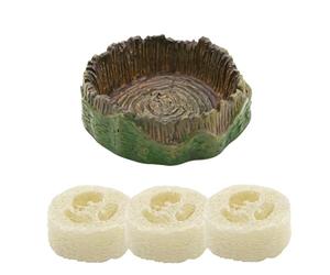 Générique Roach Feeding Container - Reptile Feeding Drinking Dish, Loofah Hydration Bowl, Escape Proof insectt Feeder, Durable Terrarium Accessory | Reptile Enclosure Feeder for Spider, Gecko, Isopod