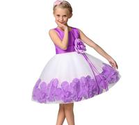 Générique Robe Ado Fille,Robe Fille 14 Ans,Robe imprimée sans Manches pour bébé Fille, Robe de Costume, Robe de Spectacle, Robe pour Nouveau-né (Purple, 3-4 Years)