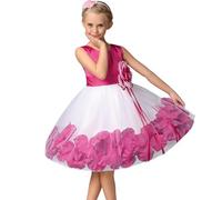 Générique Robe Ado Fille,Robe Princesse Fille 3 Ans,Robe imprimée sans Manches pour bébé Fille, Robe de Costume, Robe de Spectacle, Robe pour Nouveau-né (5-6 Years)