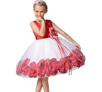 Générique Robe Bebe Fille,Robe Princesse Fille 3 Ans,Robe imprimée sans Manches pour bébé Fille, Robe de Costume, Robe de Spectacle, Robe pour Nouveau-né (Red, 90)