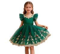 Générique Robe De Noel Fille Habillée Hiver Chic Ronde Pas Cher Noël 10 Ans Princesse Soirée Cérémonie Mariage Costume Ensemble Bebe Garcon Deguisement pour Chaussette (Vert,3-4 Ans)