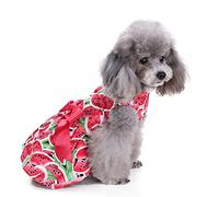 Générique Robe de Princesse à Pois pour chiennes et Petites chiennes avec nœud - Jupe de Princesse pour Animal de Compagnie - Vêtements pour Animaux de Compagnie pour Chihuahua, Yorkshire E