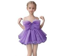 Générique Robe Fille 6 Ans,Robe Fille 12 Ans,Robe de soirée élégante pour Fille, Tutu brodé, Tenue de cérémonie pour Anniversaire ou Demoiselle d'honneur (Purple, 12-18 Months)