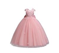 Générique Robe Fille Printemps été Princesse soirée défilé Nouvelle Collection élégante Confortable Tendance Mode (10-11 Years)