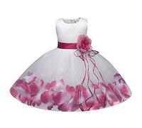 Générique Robe Longue Fille - Infantile Filles sans Manches Fleur Imprime Princesse Robe Custume Robe Robe Spectacle Robe Nouveau-né